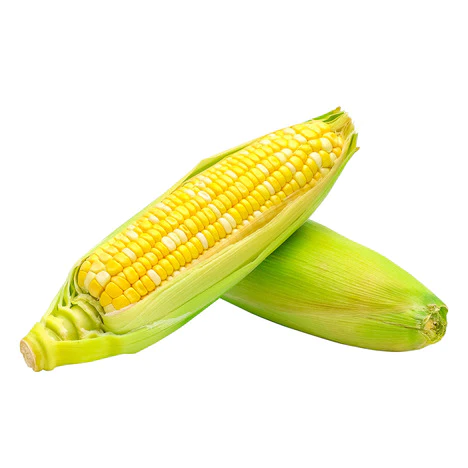 Maçaroca
